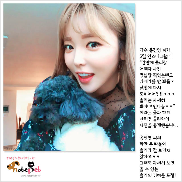 노트펫