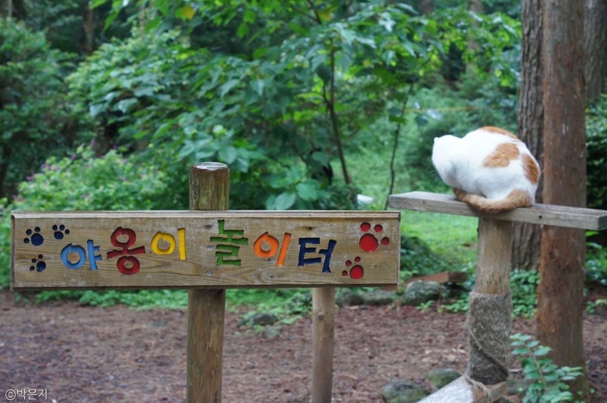 노트펫