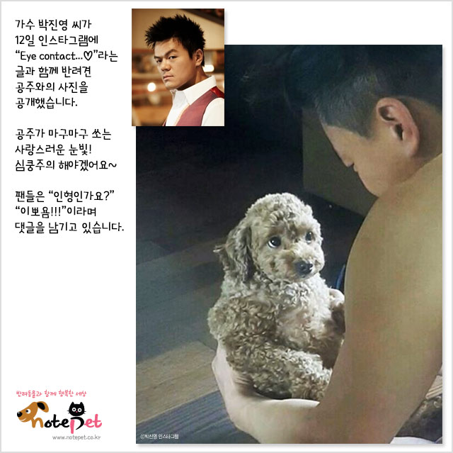 노트펫