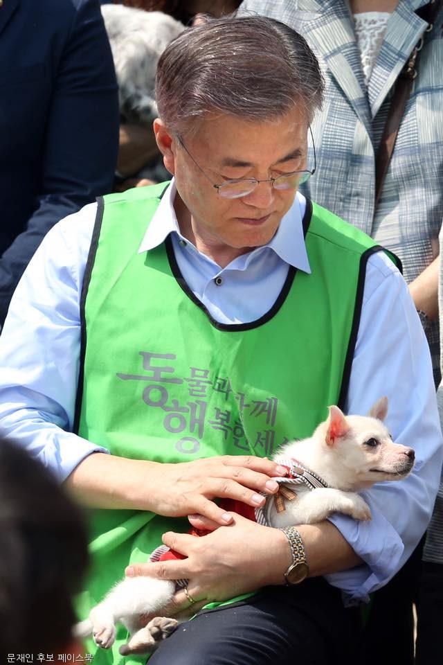 노트펫