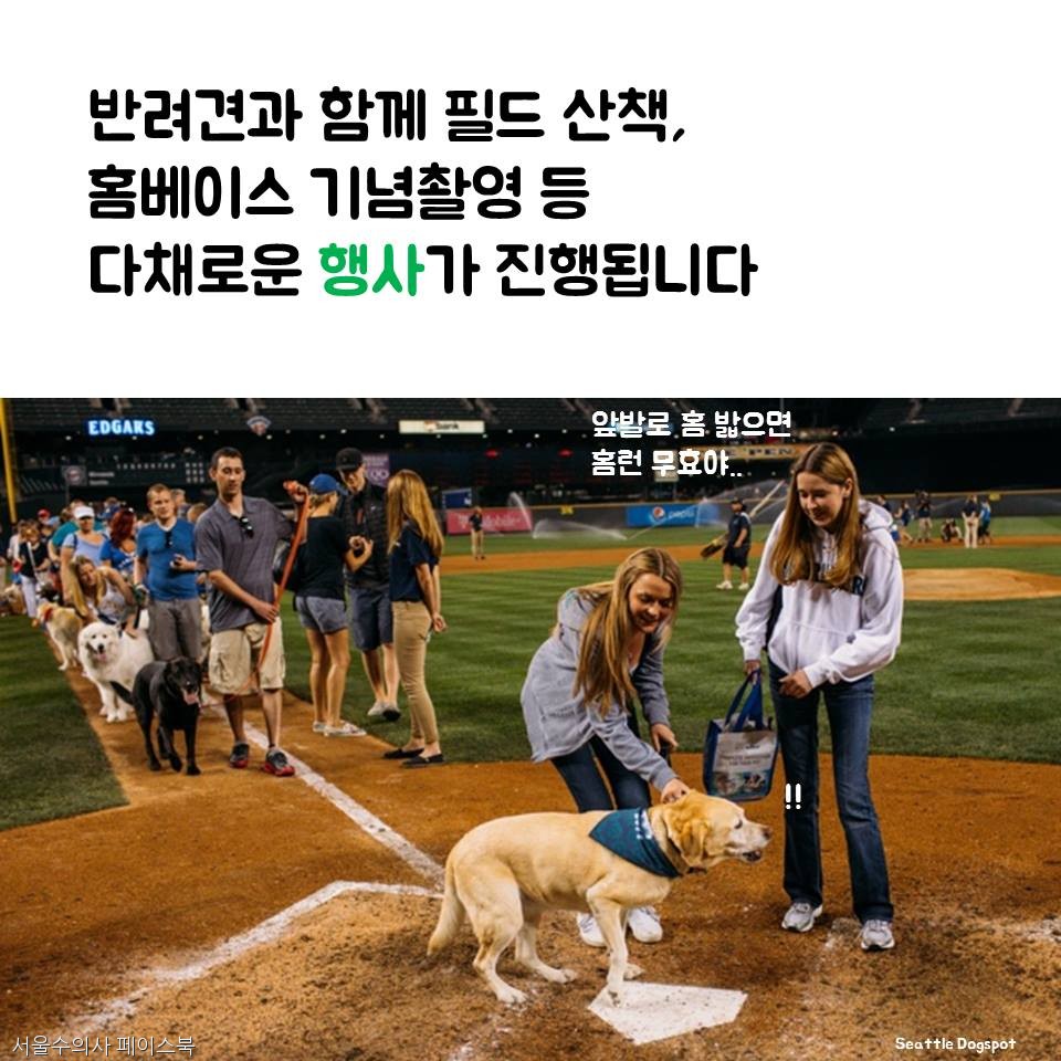 노트펫