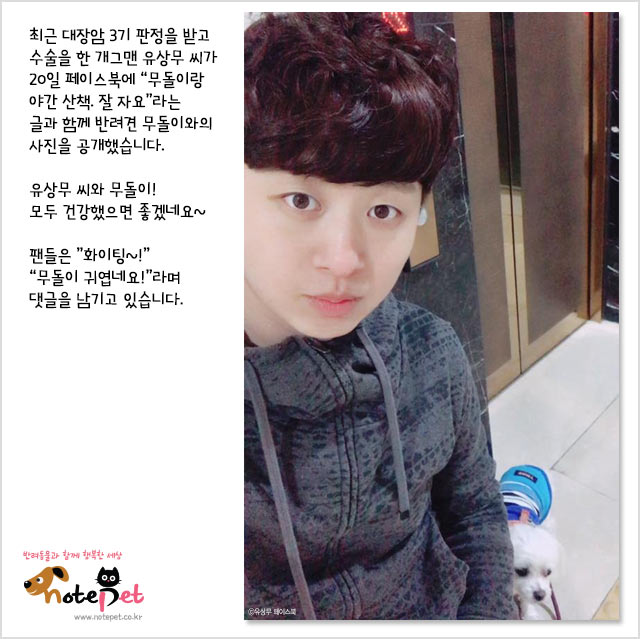 노트펫