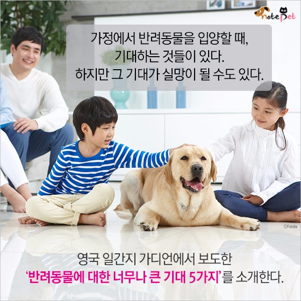 노트펫