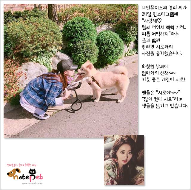 노트펫