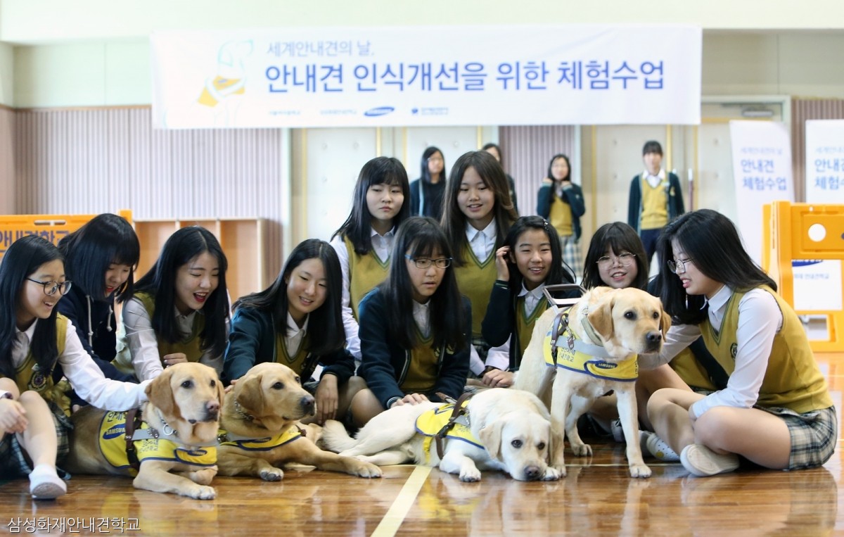 노트펫
