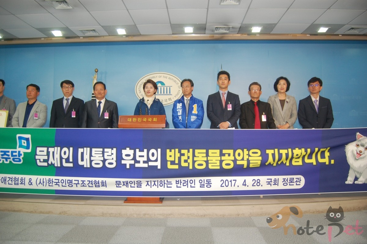 노트펫