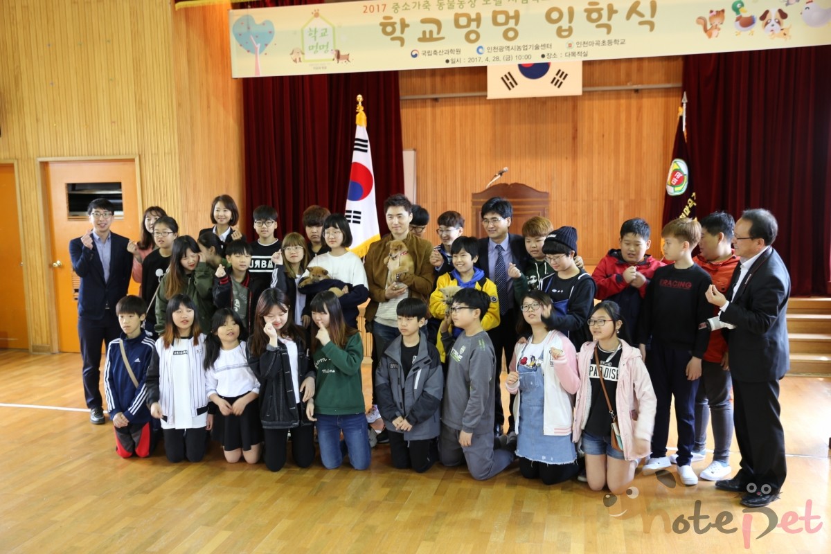 노트펫