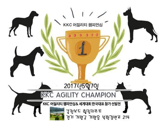 노트펫