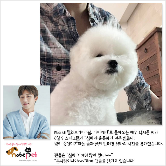 노트펫