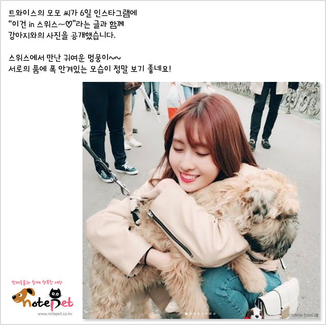 노트펫