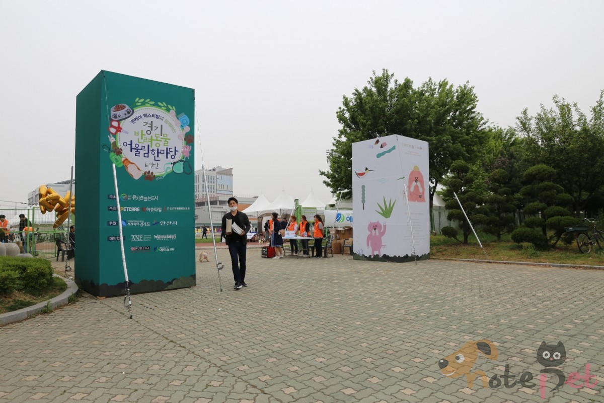 노트펫