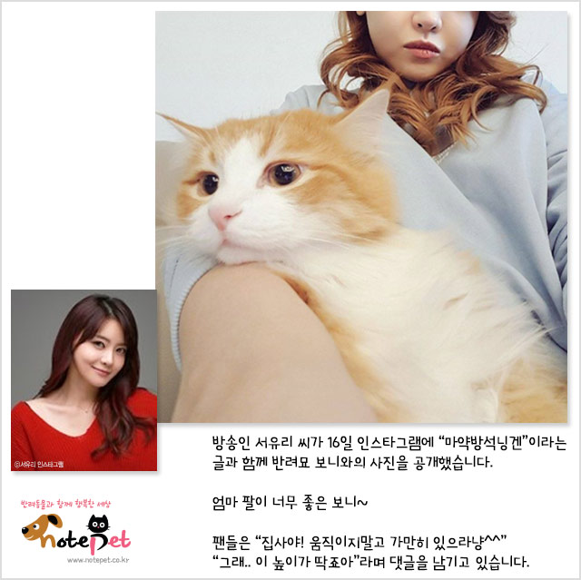 노트펫