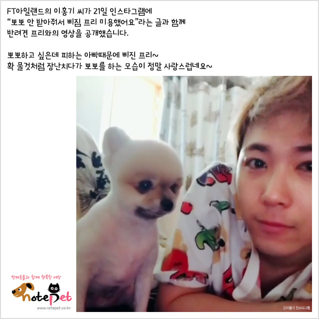 노트펫