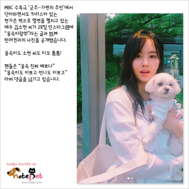 노트펫