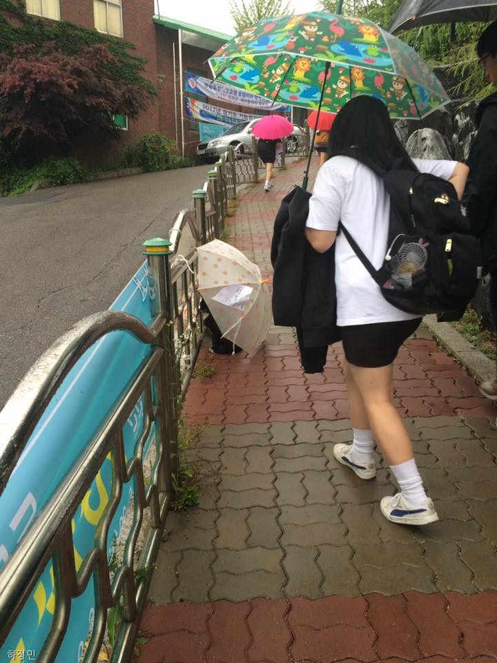 노트펫