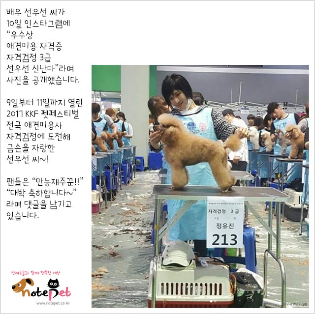 노트펫