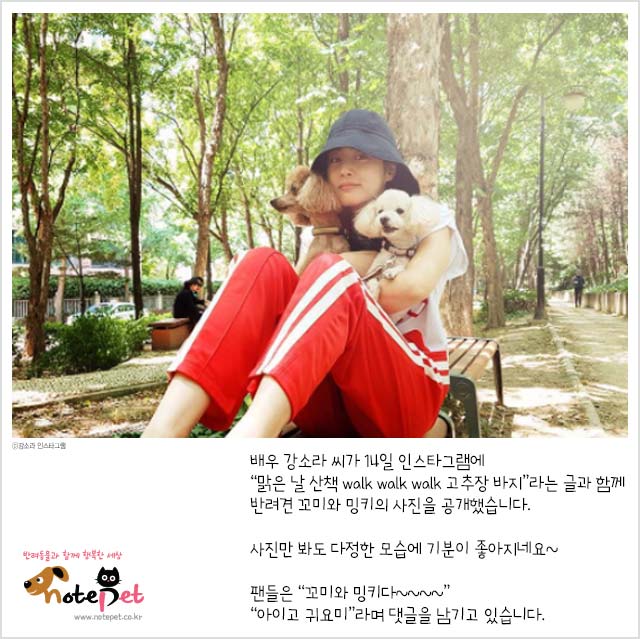 노트펫