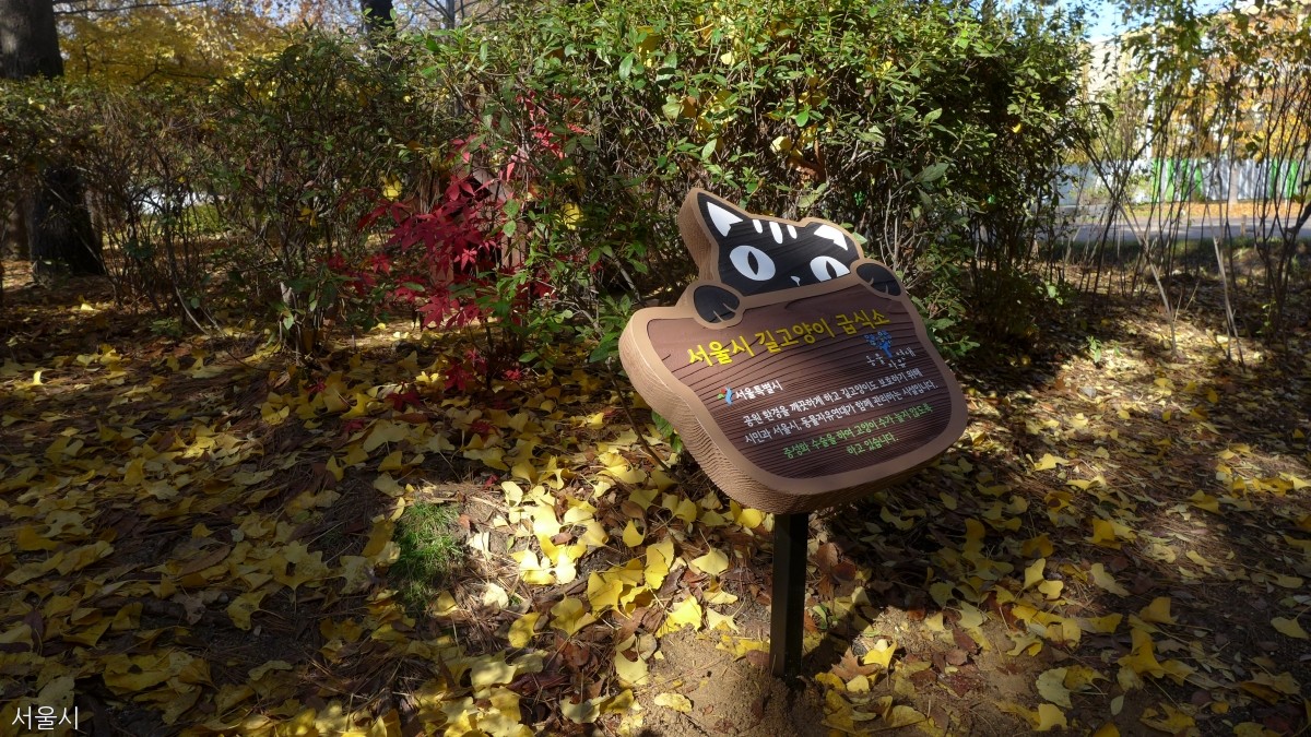 노트펫