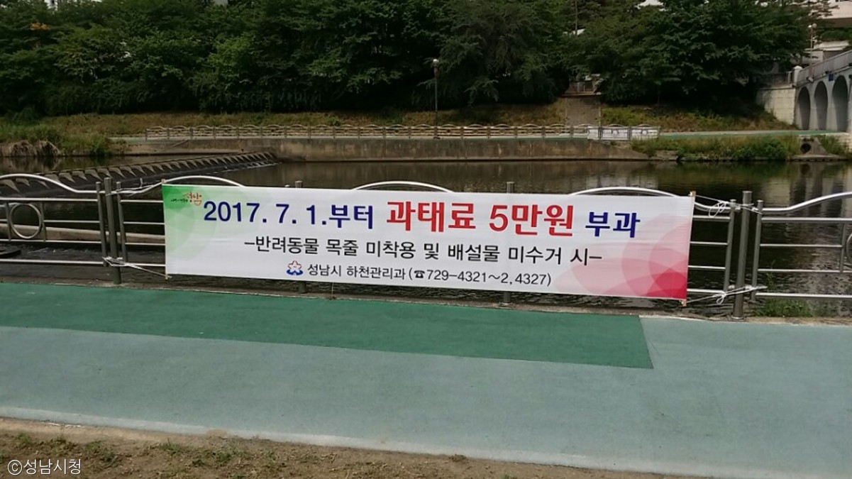 노트펫