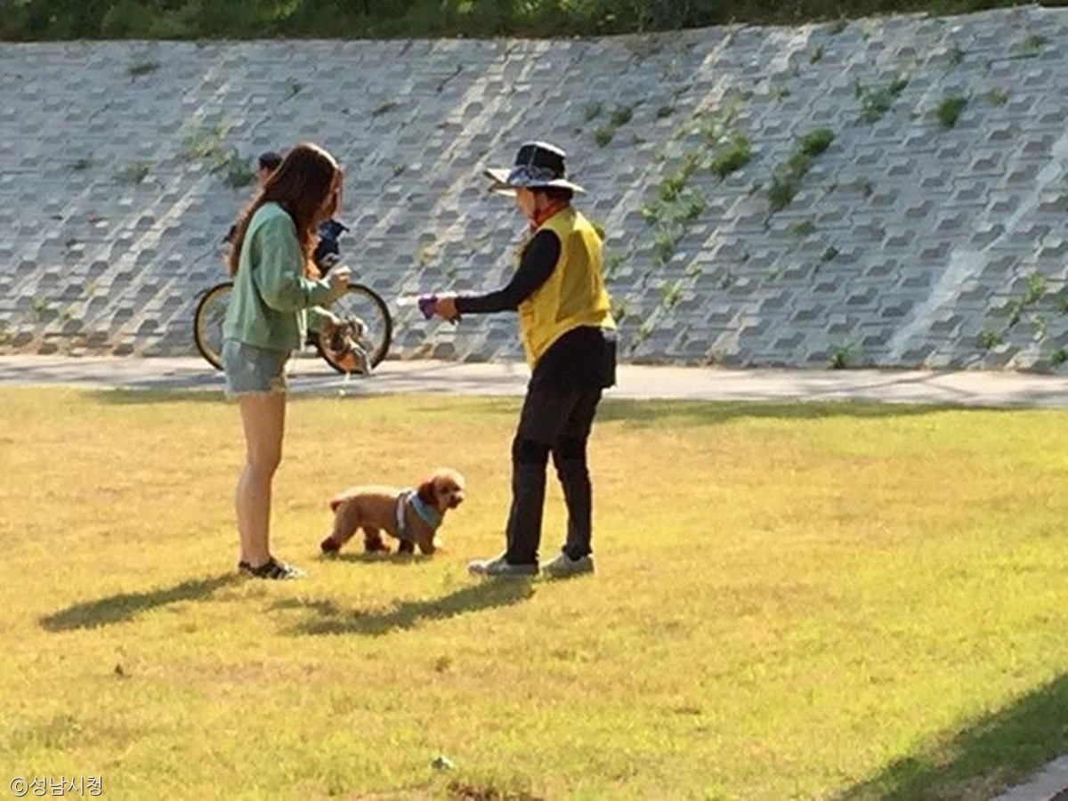 노트펫