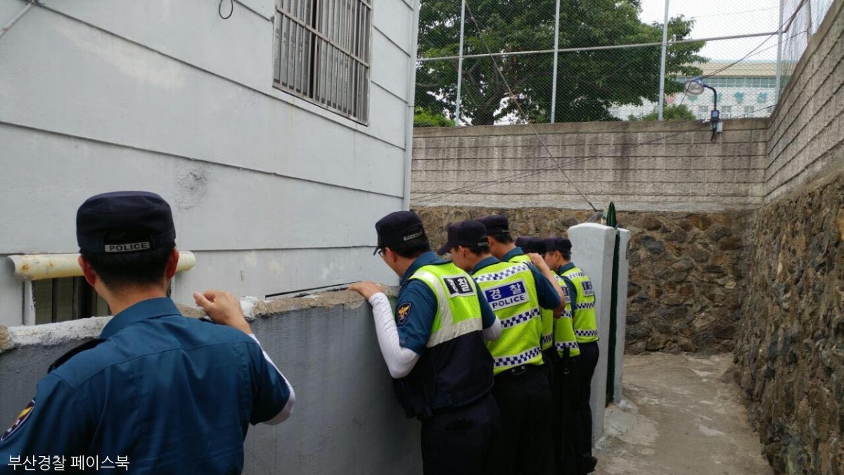 노트펫