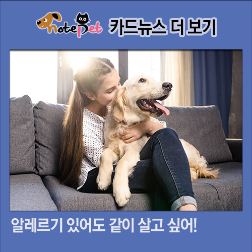 노트펫