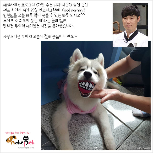 노트펫