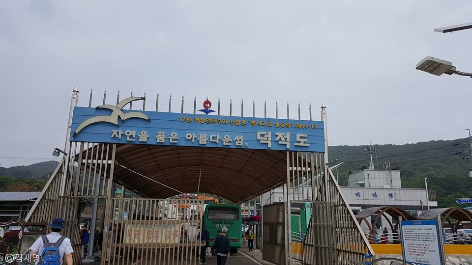 노트펫