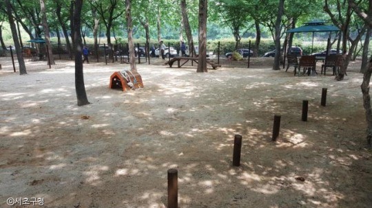 노트펫