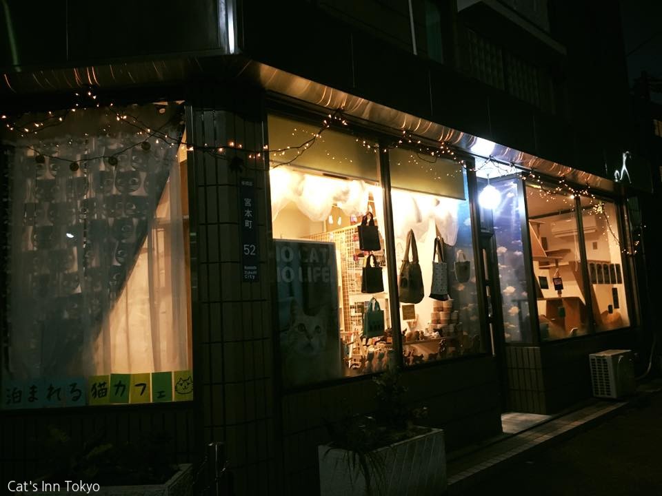 노트펫