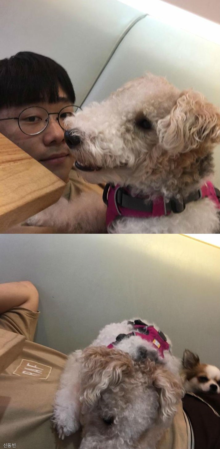 노트펫