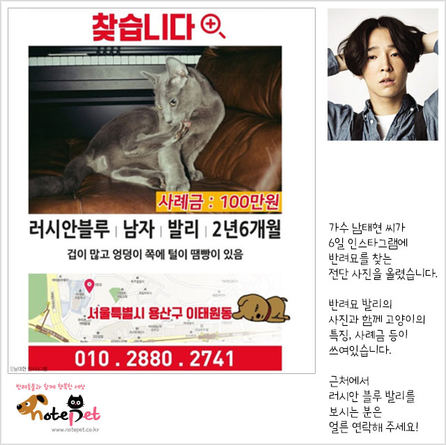 노트펫
