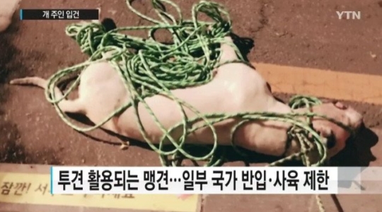 노트펫