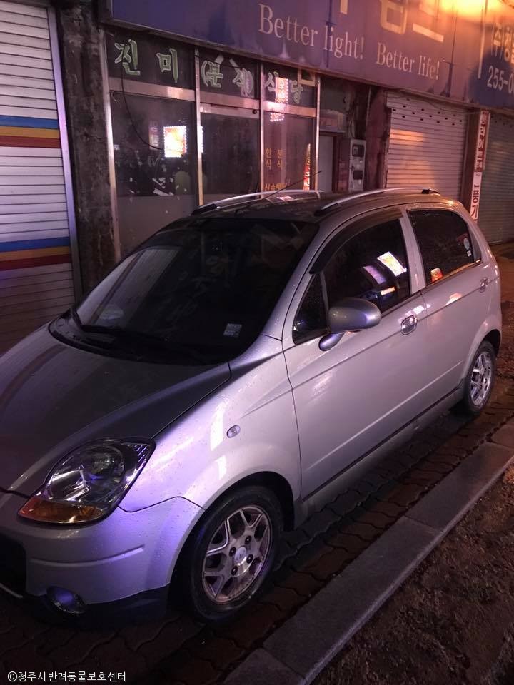 노트펫