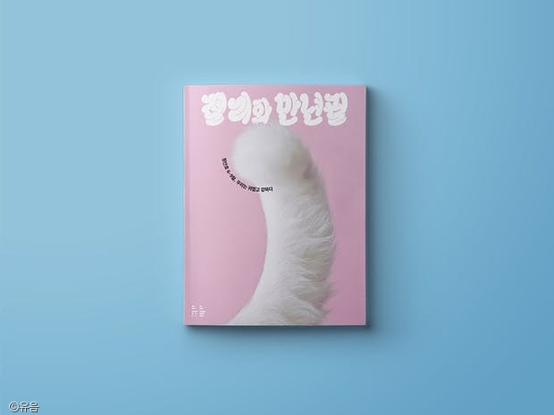 노트펫