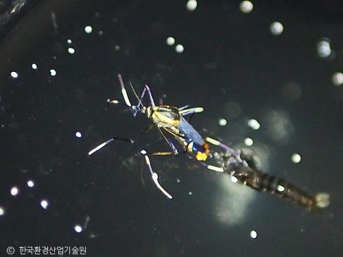 노트펫