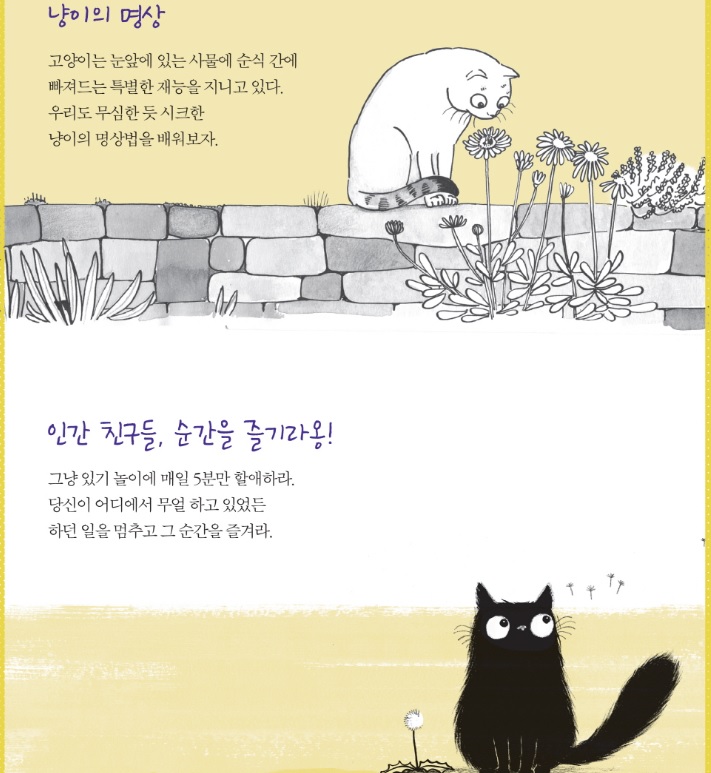 노트펫