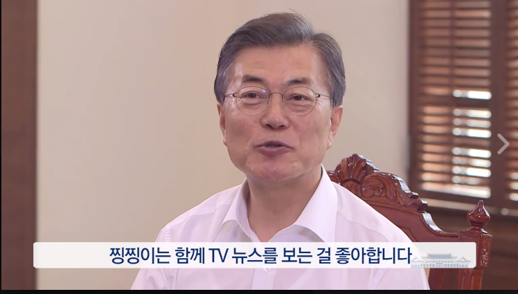 노트펫