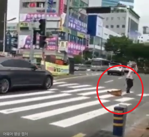 노트펫