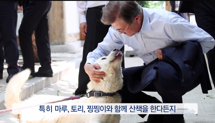 노트펫