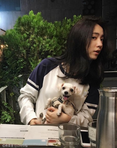 노트펫