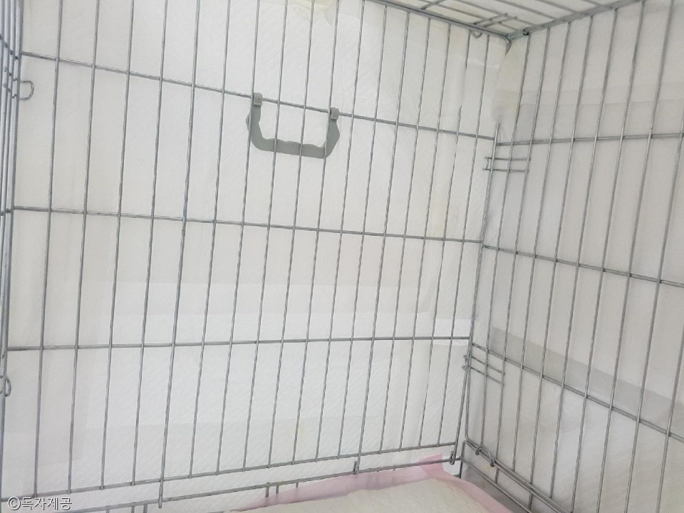 노트펫