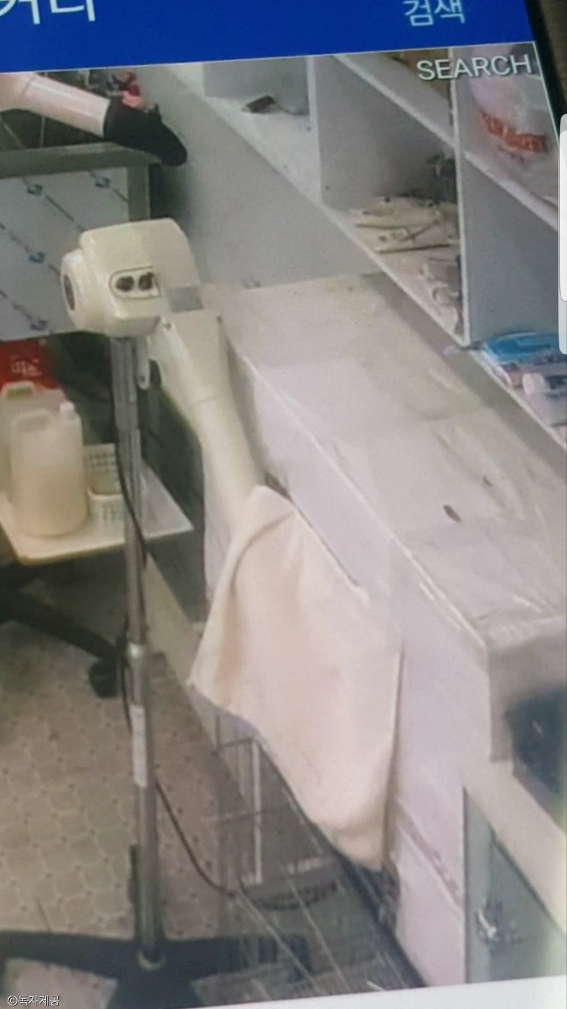 노트펫