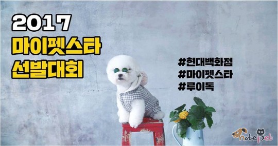 노트펫