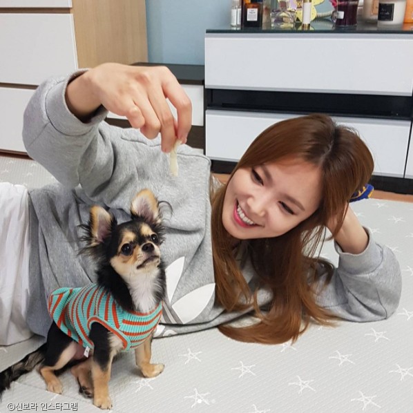 노트펫