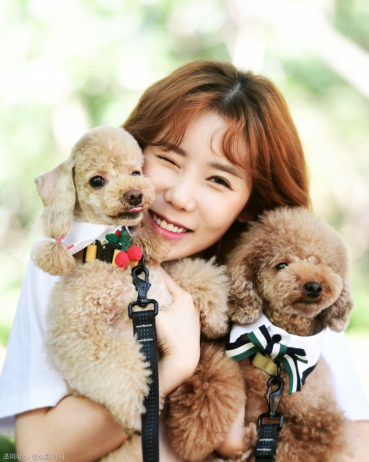 노트펫