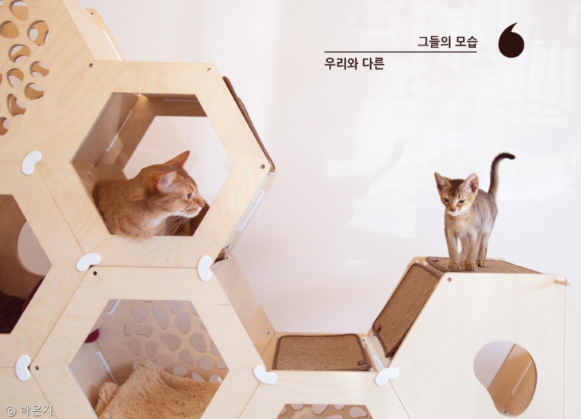 노트펫