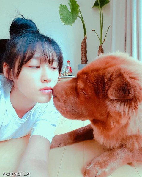노트펫