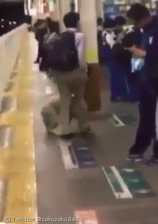 노트펫