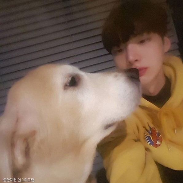노트펫